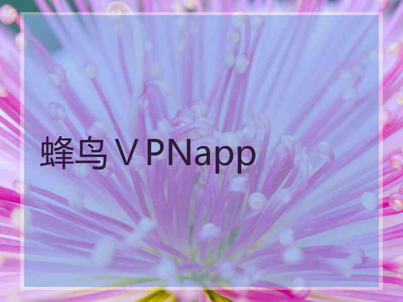 蜂鸟ⅤPNapp