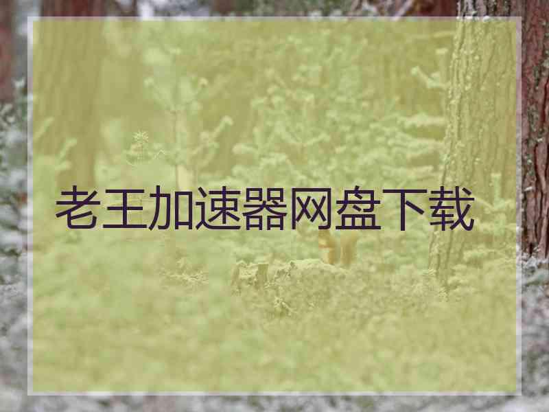 老王加速器网盘下载