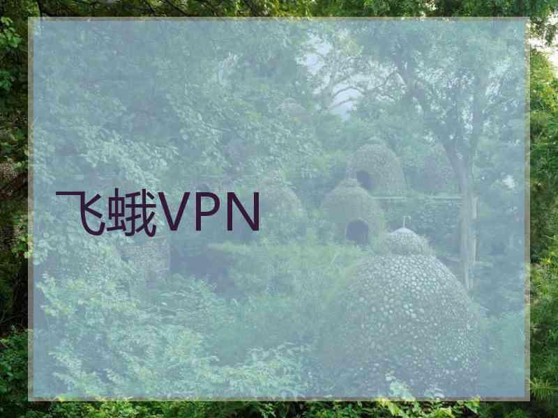 飞蛾VPN