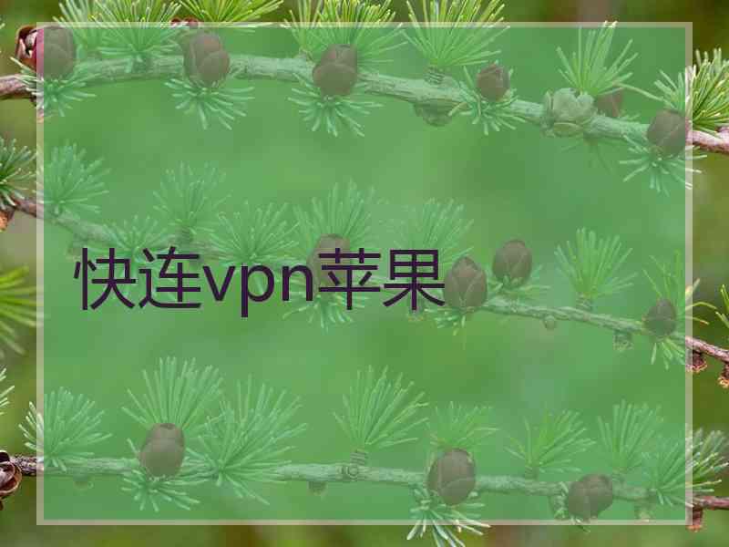 快连vpn苹果