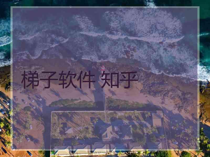 梯子软件 知乎