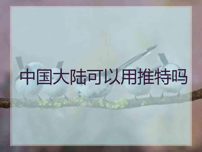 中国大陆可以用推特吗