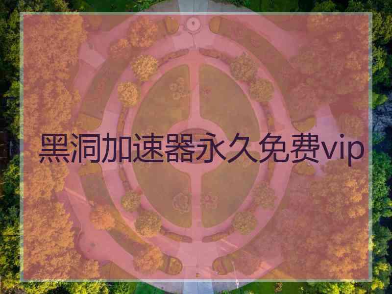黑洞加速器永久免费vip