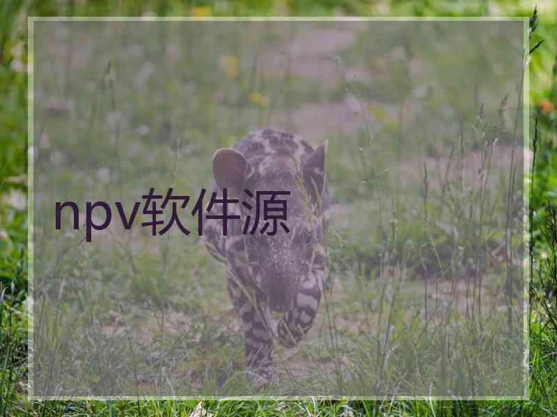npv软件源