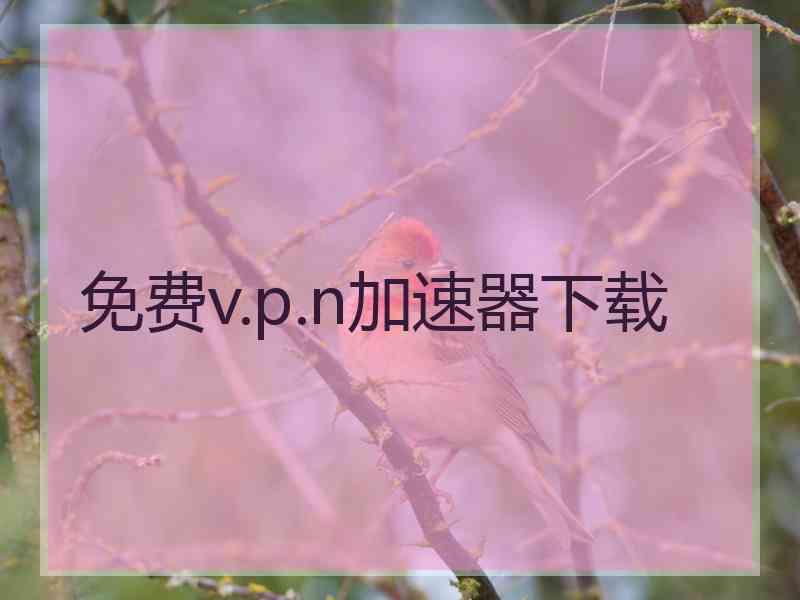 免费v.p.n加速器下载
