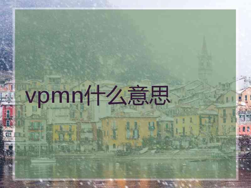 vpmn什么意思