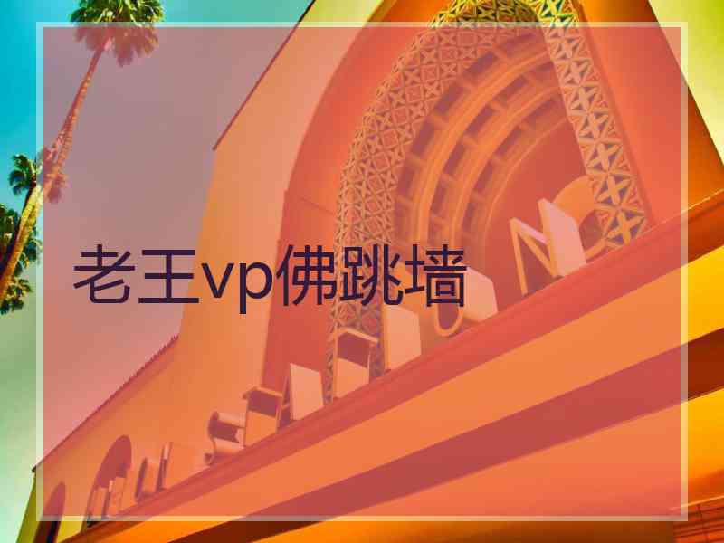 老王vp佛跳墙