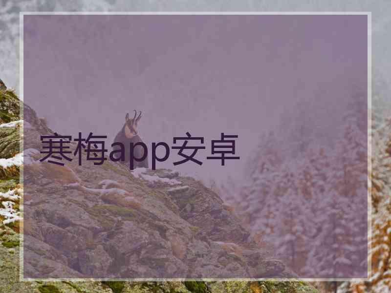 寒梅app安卓