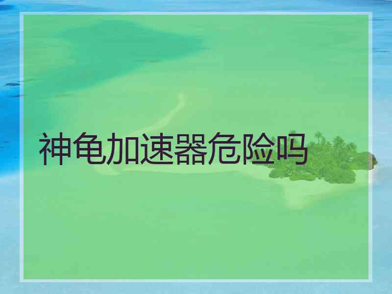 神龟加速器危险吗