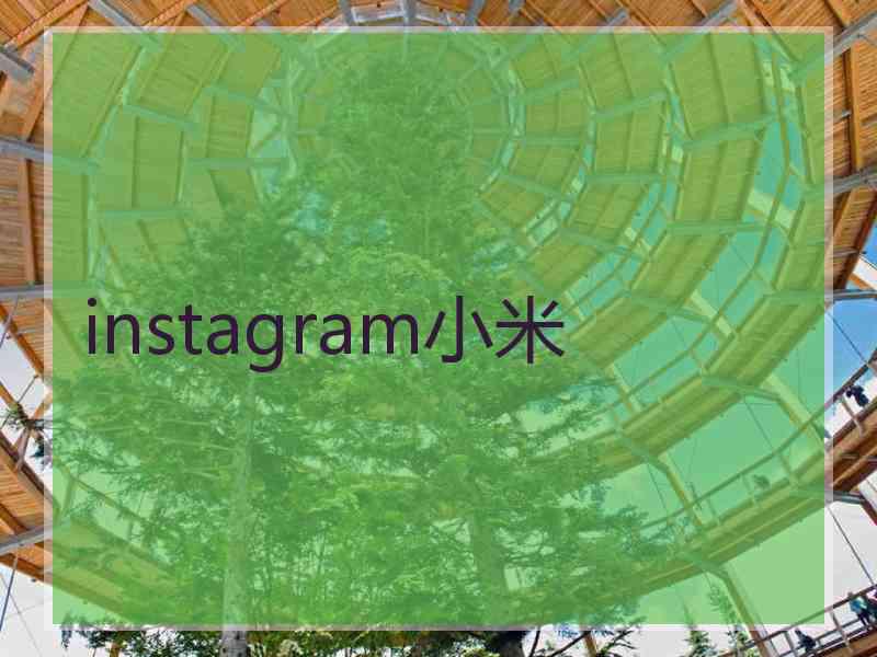 instagram小米