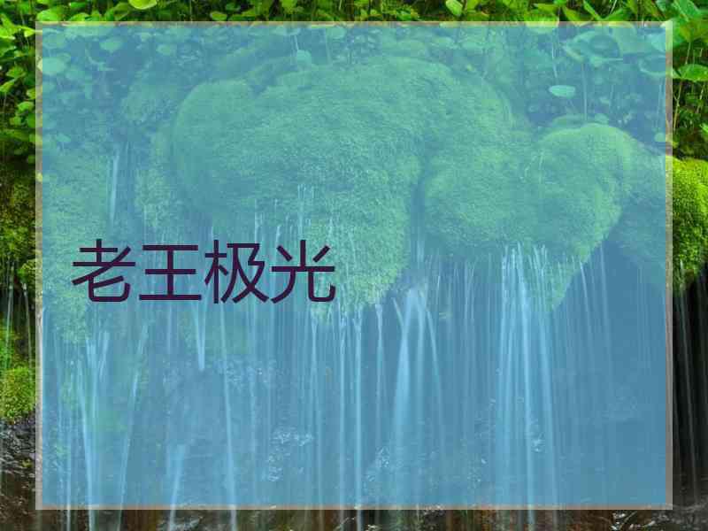老王极光