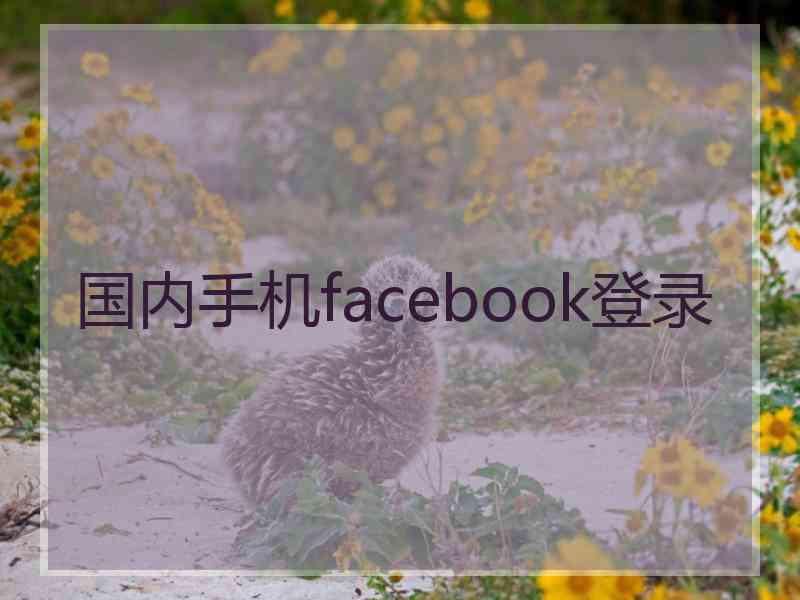 国内手机facebook登录