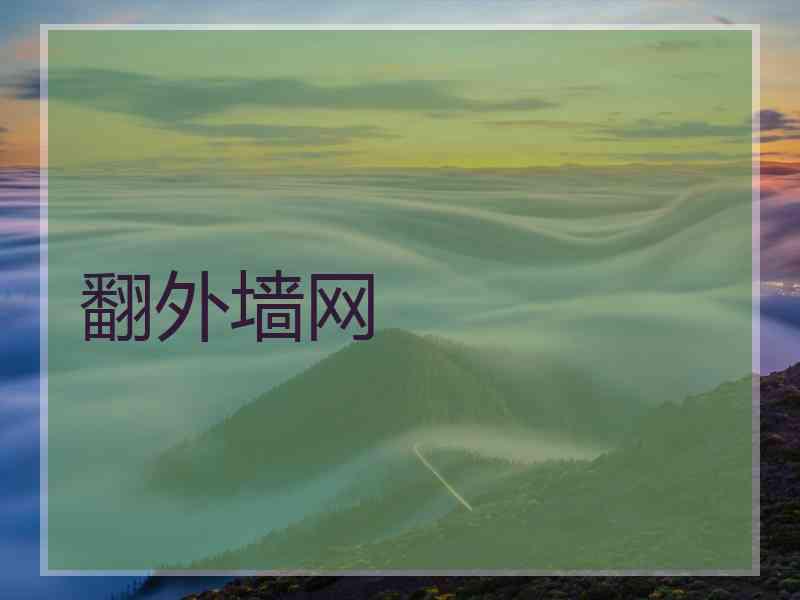 翻外墙网