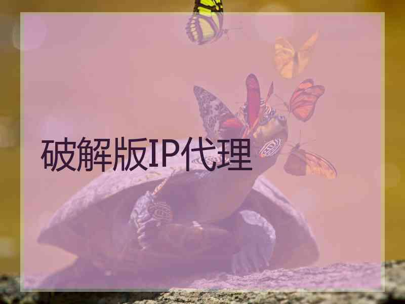 破解版IP代理