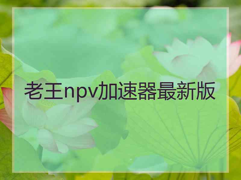 老王npv加速器最新版