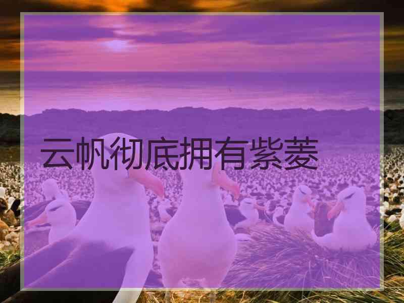 云帆彻底拥有紫菱