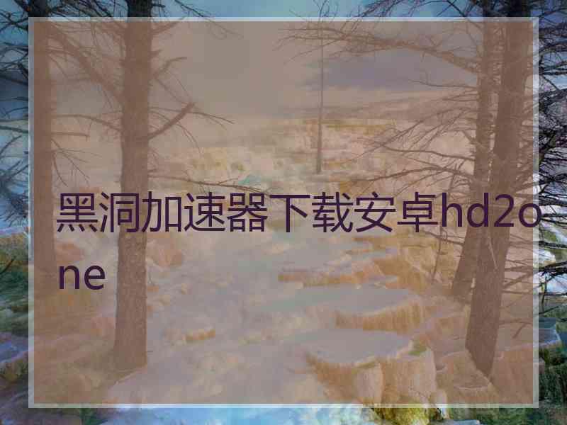 黑洞加速器下载安卓hd2one