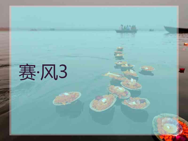 赛·风3