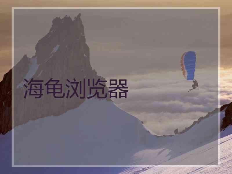 海龟浏览器