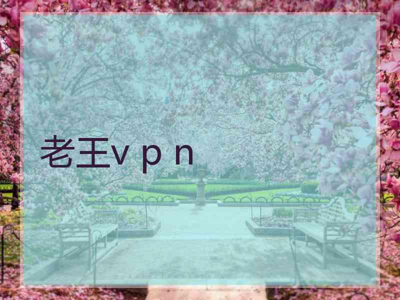 老王v p n