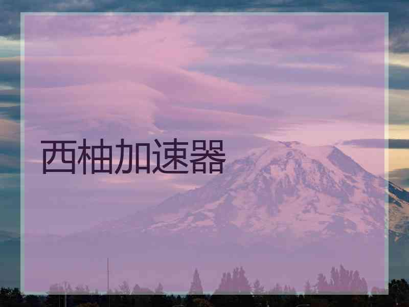 西柚加速器