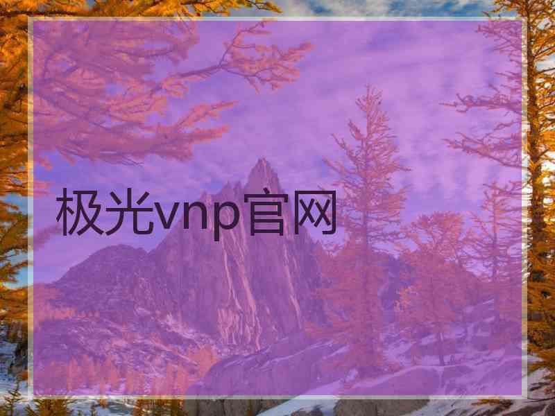 极光vnp官网