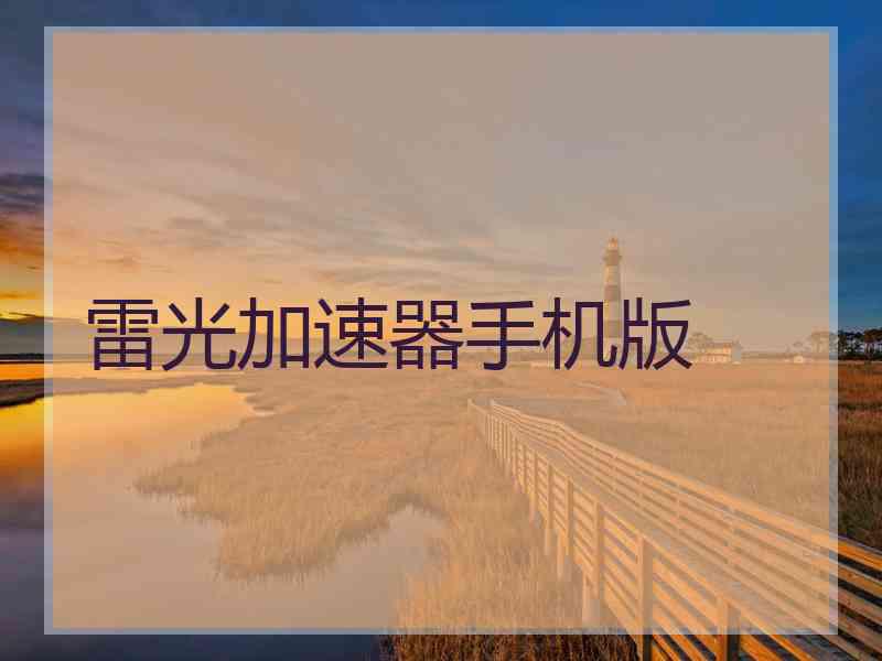 雷光加速器手机版
