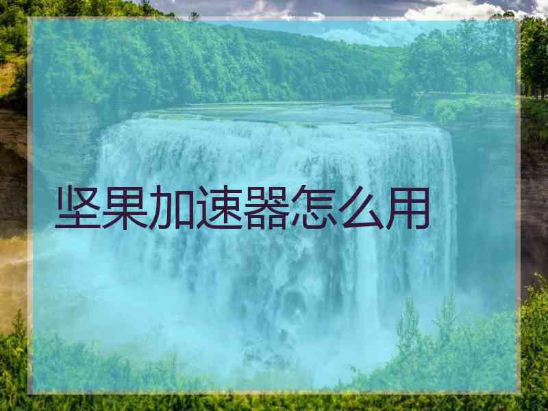 坚果加速器怎么用
