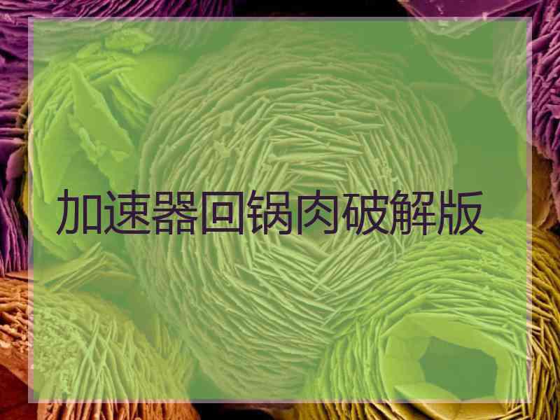 加速器回锅肉破解版