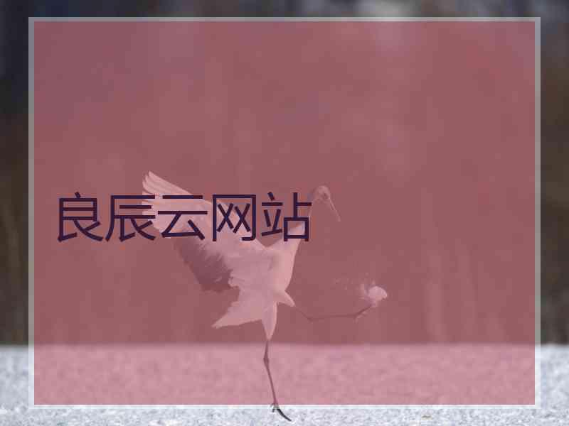 良辰云网站