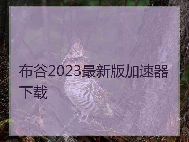 布谷2023最新版加速器下载