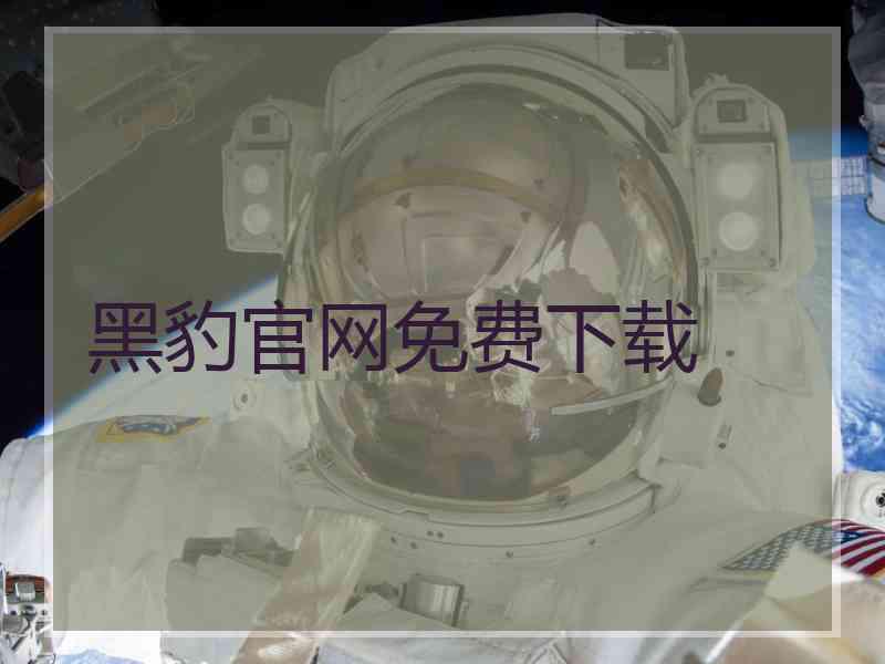 黑豹官网免费下载