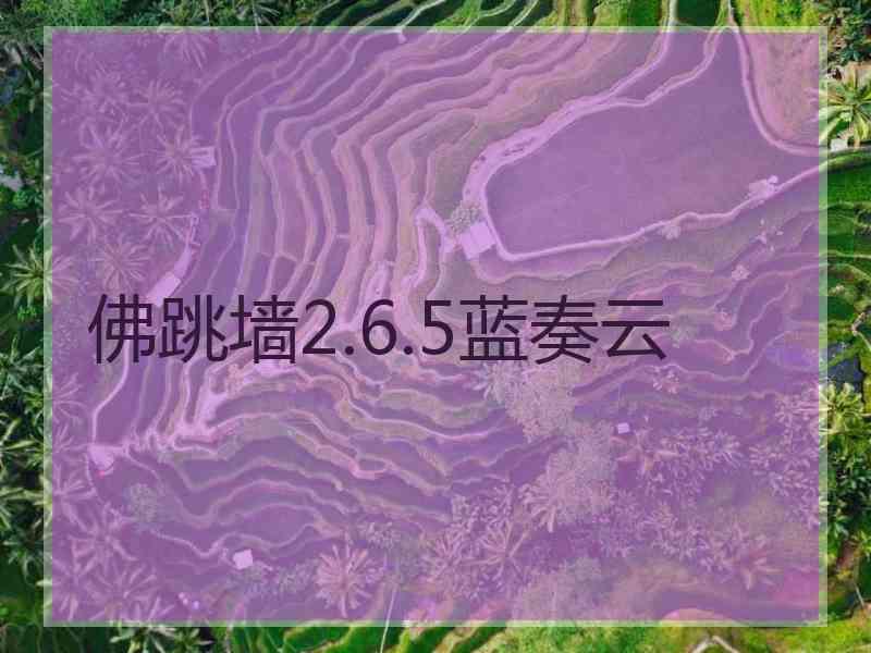 佛跳墙2.6.5蓝奏云