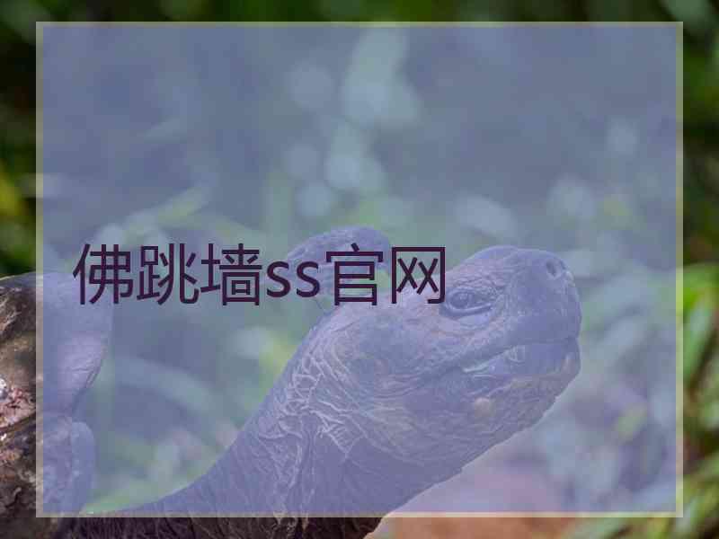 佛跳墙ss官网