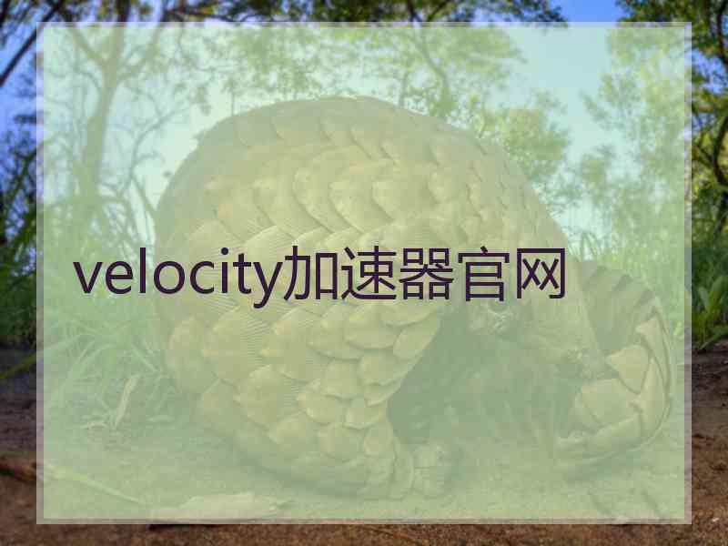velocity加速器官网