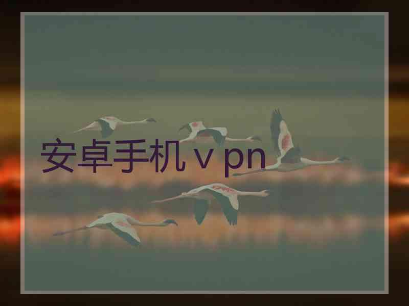 安卓手机ⅴpn