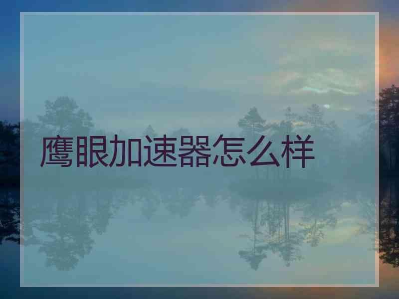 鹰眼加速器怎么样