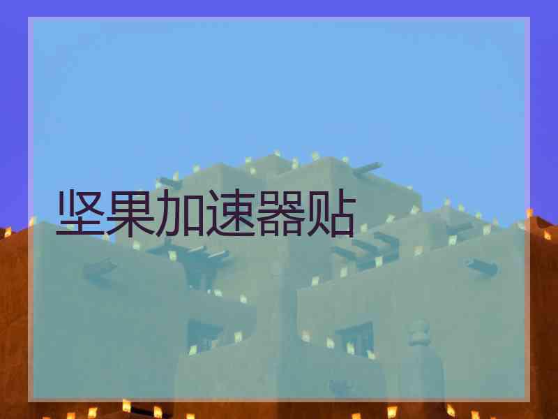 坚果加速器贴
