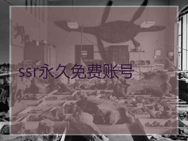 ssr永久免费账号