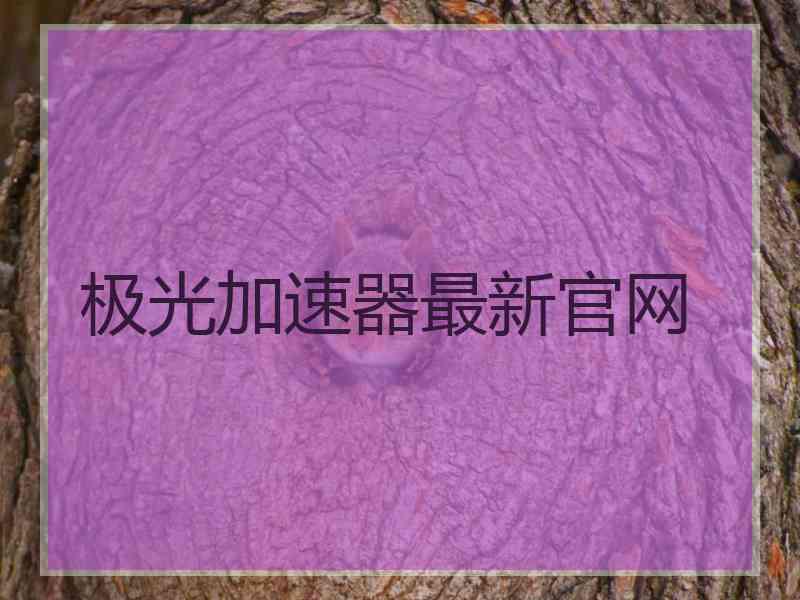 极光加速器最新官网