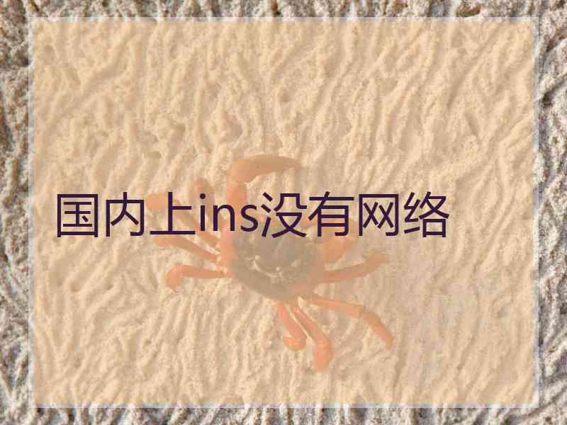 国内上ins没有网络