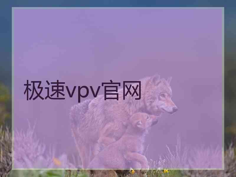 极速vpv官网