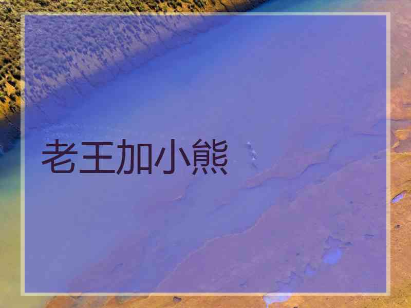 老王加小熊