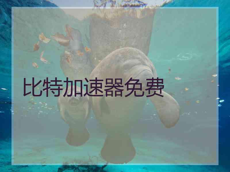 比特加速器免费