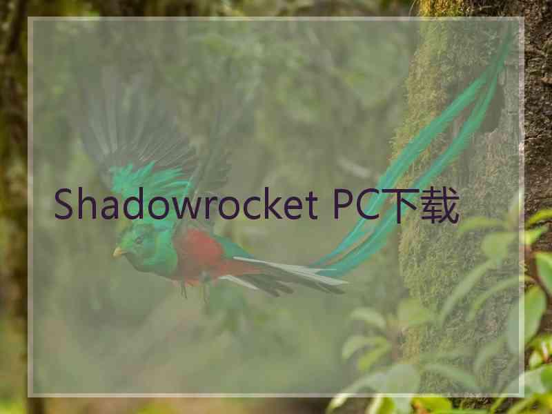 Shadowrocket PC下载