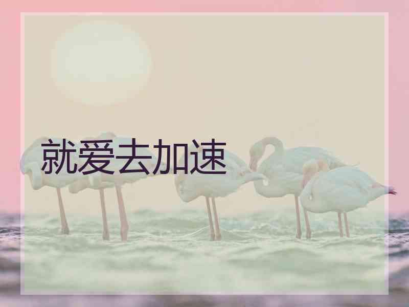 就爱去加速