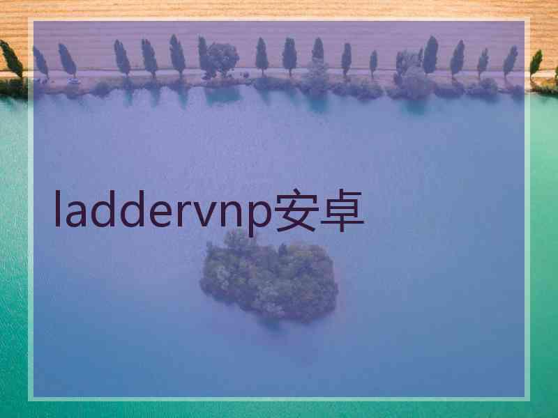 laddervnp安卓