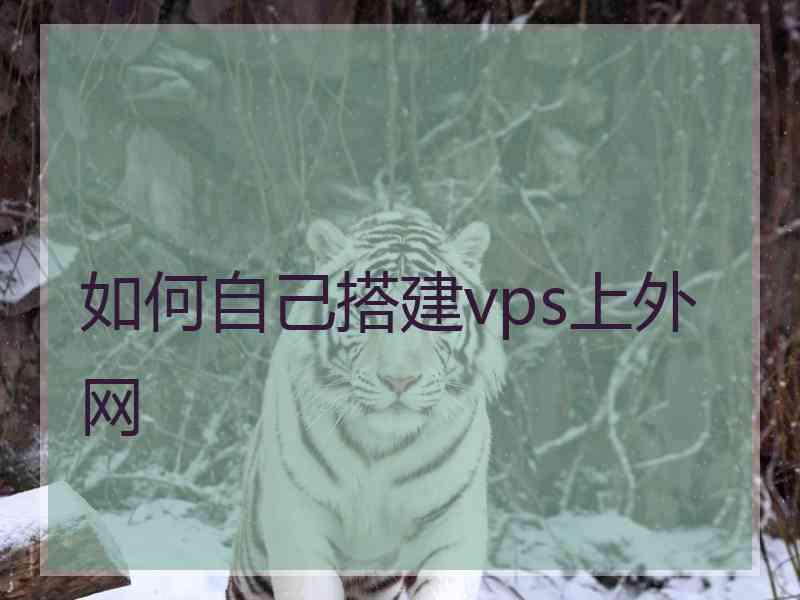 如何自己搭建vps上外网