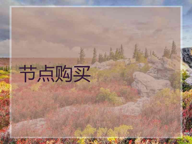 节点购买