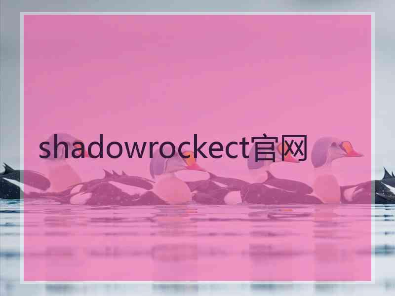 shadowrockect官网